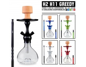 H11 GREEDY - H2