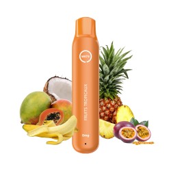 Fruits Tropicaux - FLAWOOR Mate