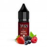 Fruits des bois / 12pcs - YUN