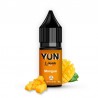 Mangue / 12pcs - YUN