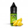 Ananas / 12pcs - YUN