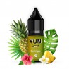 Exotique / 12pcs - YUN