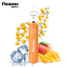 kit Mangue Glacée - FLAWOOR Mate 2