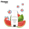 Cartouche Pastèque Glacée / 2pcs - FLAWOOR Mate 2