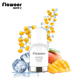 Cartouche Mangue Glacée / 2pcs - FLAWOOR Mate 2