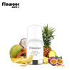 Cartouche Fruits Tropicaux / 2pcs - FLAWOOR Mate 2