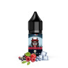 Rockeuz / 12pcs - INNOVAP