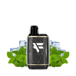 Kit Spearmint Menthol - Fuyl by Dinner Lady