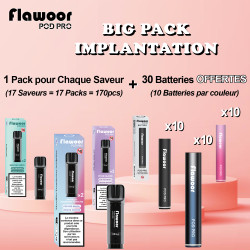 BIG PACK IMPLANTATION - FLAWOOR POD PRO