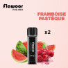 Cartouche Pastèque Framboise / 2PCS - FLAWOOR POD PRO