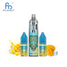 Mango on Ice 20000 puffs TORNADO - RANDM FUMOT