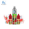 Lush Ice 20000 puffs TORNADO - RANDM FUMOT