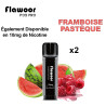 Cartouche Pastèque Framboise / 2PCS - FLAWOOR POD PRO