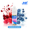Mr Blue / 10pcs - e-liquide JNR