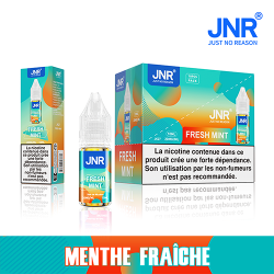 Fresh Mint - Menthe fraîche | JNR Puff