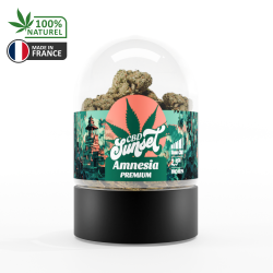 Fleur Amnésia 2.5G - SUNSET CBD HEMPLAB