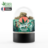 Fleur Amnésia 2.5G - SUNSET CBD HEMPLAB