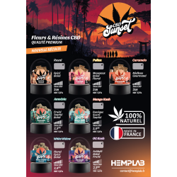 SUNSET CBD HEMPLAB - Carte saveurs
