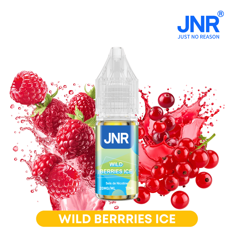 Wild Berries Ice / 10pcs - e-liquide JNR