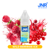 Wild Berries Ice / 10pcs - e-liquide JNR