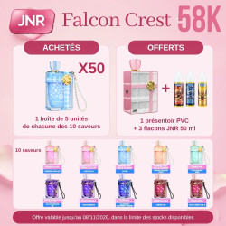 Offre d'implantation - FALCON CREST 58K JNR