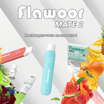 FLAWOOR MATE 2